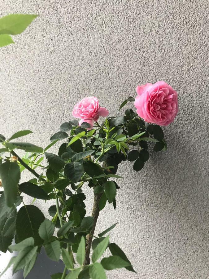 Apartament Lucky Pruszcz Gdanski Luaran gambar